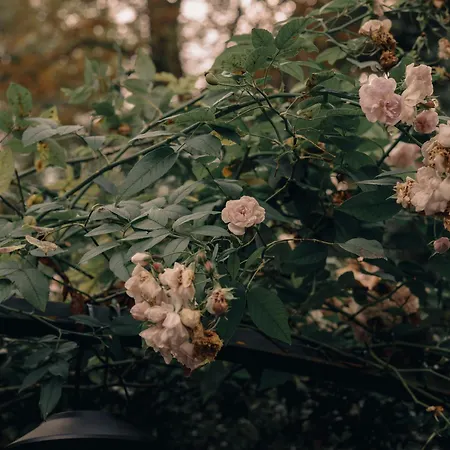 Appartement Casa Profumoir - Olfactive Experience Florence