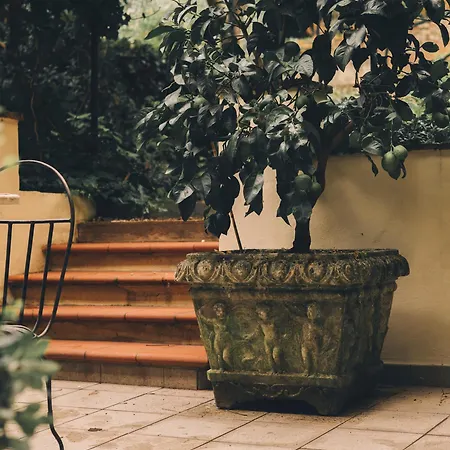 Casa Profumoir - Olfactive Experience *