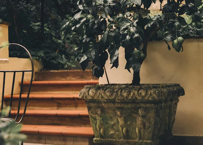 Casa Profumoir - Olfactive Experience *